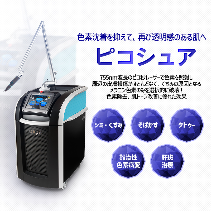 피코슈어 - ホンデ店