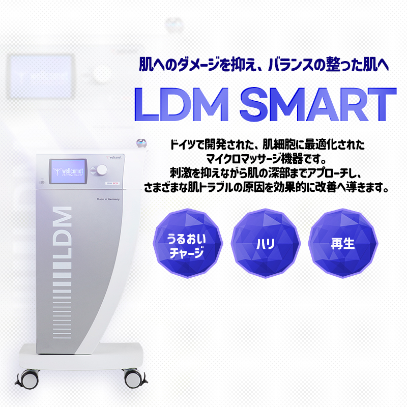 LDM SMART - ホンデ店